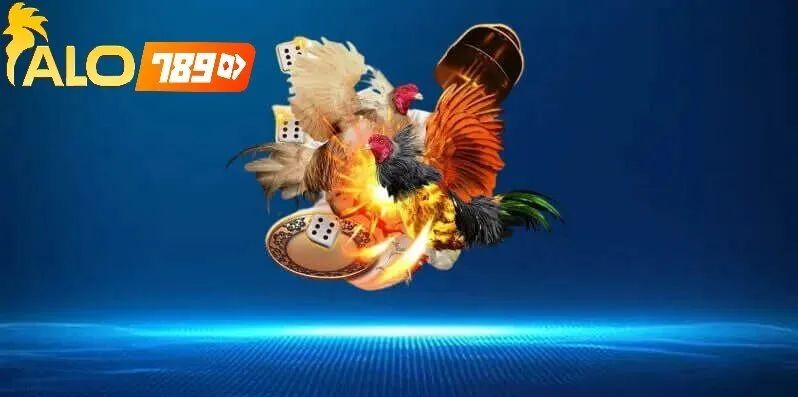 Trải Nghiệm Kèo Đá Gà Hôm Nay Alo789 – Nhà Cái Uy Tín Dẫn Đầu